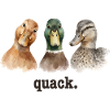 Duck Quacking Funny Duck Lover Croaking