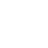 Euler-Lagrange equation fundamental notion physics