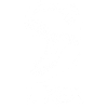 The White Tyrannosaurus Rex