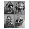 Hipster Rooster Collage Chickens Chicken