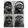 Loutre