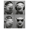 Cochon