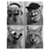 Fuchs