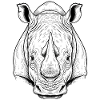 Rhinoceros