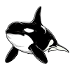 Orque