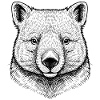 Wombat