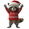 Raccoon