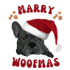 Frenchie Woofmas – Bulldog with Santa Hat