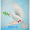 Dove of peace with branch