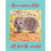 Wombat Refuge in the Forest