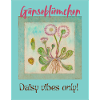 Daisy Vibes