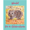 Wombat Schutzsuchende Illustration