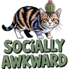 Cat Cactus Socially Awkward