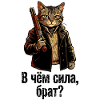 "В чём сила, брат?" by russian cartoon cat