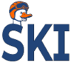 Ski d’oie pour sports d’hiver