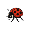 Red Ladybug Ladybug Cartoon