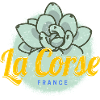 Corsica Vintage Succulent France Souvenir