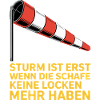 Storm text with windsock