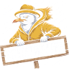 Bad weather seagull in raincoat