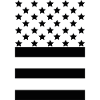 Black Flag – Stars & Stripes Design
