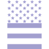 Purple Flag – Stars & Stripes Design