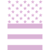 Pink Flag – Stars & Stripes Design