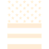 Black Flag – Stars & Stripes Design