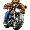 Bears Motorcycle