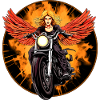 Engel Moto / Motard Engel