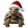 Cozy turtle celebrating slowly