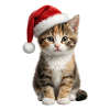 Chaton curieux en attente de cadeaux