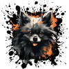 Pomeranian Farb-Splash