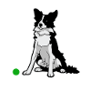 Funny Border Collie Just Throw It Dog Lover Gift I