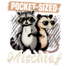 Funny Opossum and Raccoon