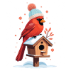 Winterkardinal am Vogelhaus
