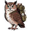 Wandering owl with backpack