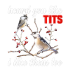  Chickadee Lover Stuffed Animal Birdwatcher Birder