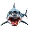 Shark