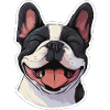 Happy French Bulldog