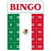 Bingo Game Bingo Mexico Theme Bingo