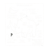 Rhino Blueprint Illustration