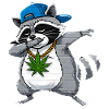 Dabbing Raccoon Cartoon Style Hip-Hop