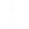 Guitariste Guitariste Hommes Garçons Guitare
