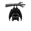 Official Sleeping Shirt Bat Bats