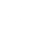 Dragon blanc et symbole celte