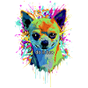 Chihuahua Graffiti Pop Art
