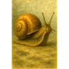 Escargot doré en ton sépia