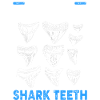 Sharks Shark Tooth Teeth Shark Teeth