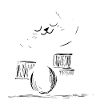 Cat Cat Music Music Drums