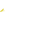 Swan Line Art on Apparel